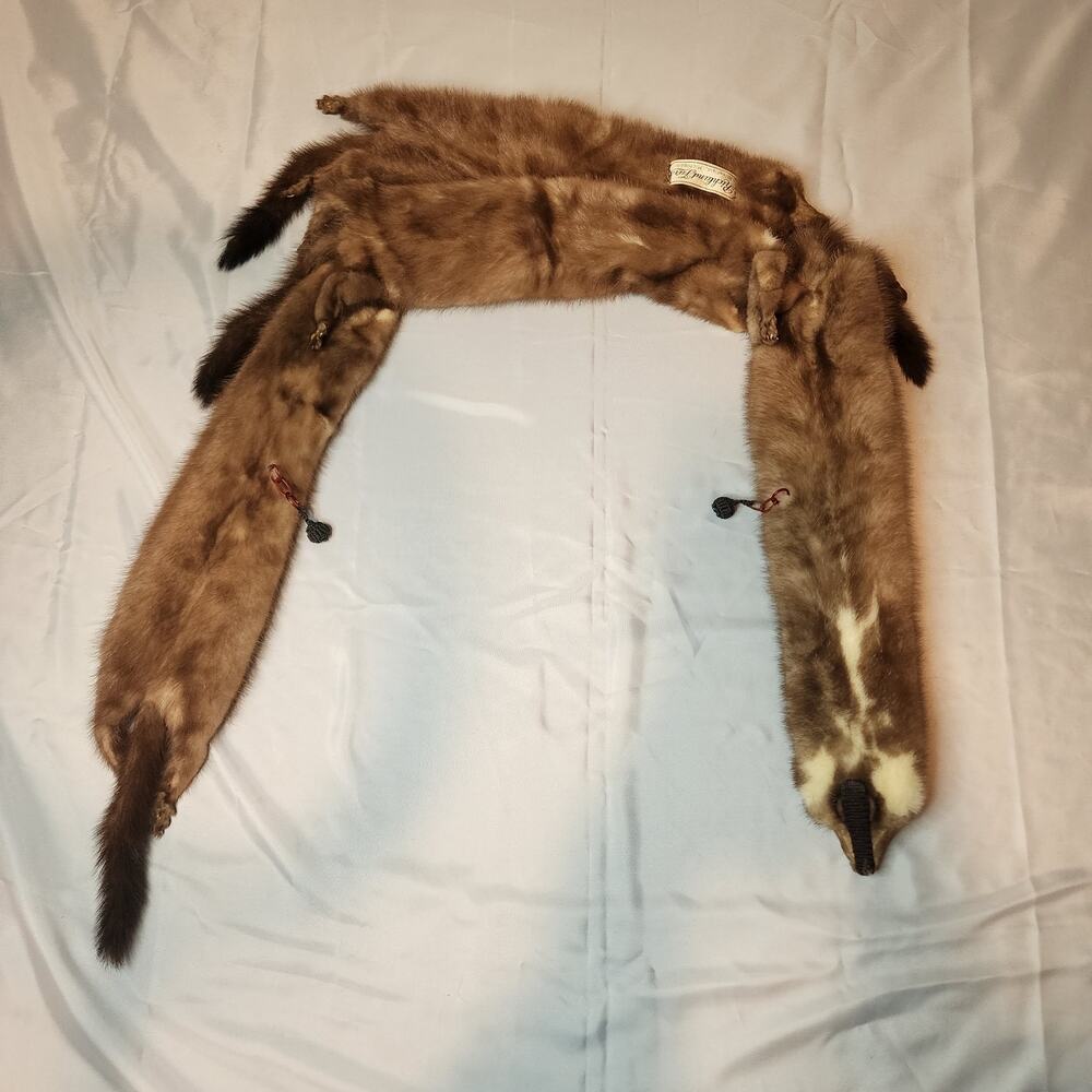 Vintage 5 Mink Fur Stole Pelts Scarfs Heads Full Body Taxidermy 1940s 1950s - Picture 4 of 9